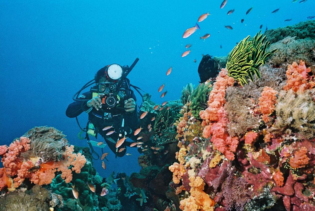 Diving Speciality Course by Ena - 