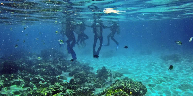 Nusa Penida Diving - 