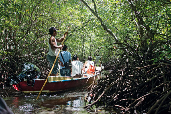 Lembongan Mangrove Tour - 
