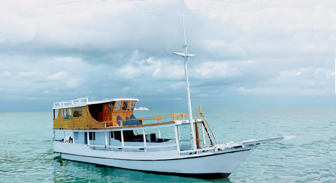 Komodo Open Trip 2D1N by Sentral Superior Phinisi - 