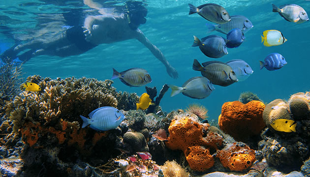 Three Islands Snorkeling by Lembongan Trip - 
