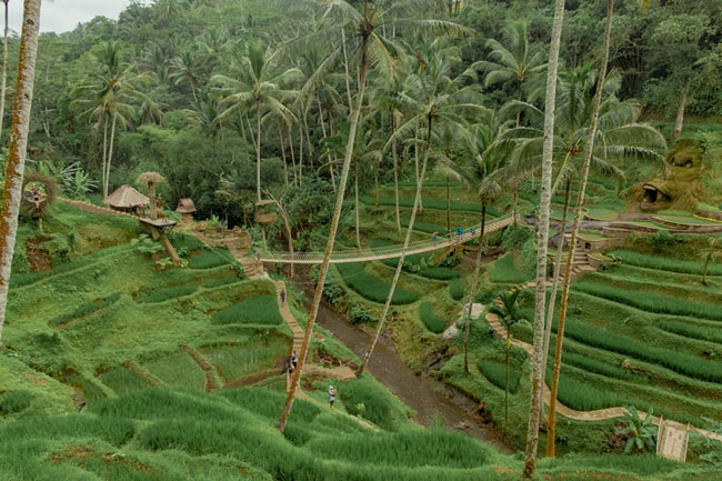 Alas Harum Agrotourism - 