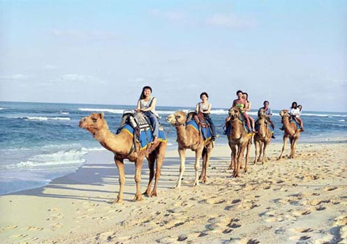 Bali Camel Safari - 