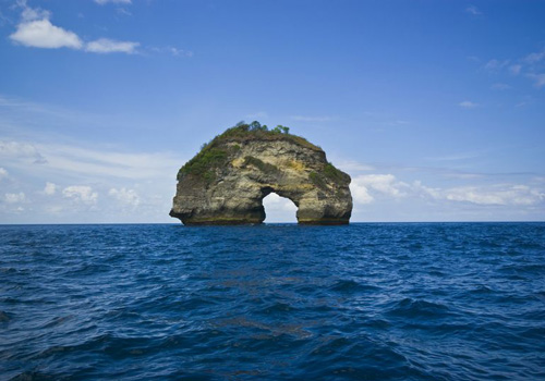 Bali Diving Activity - 