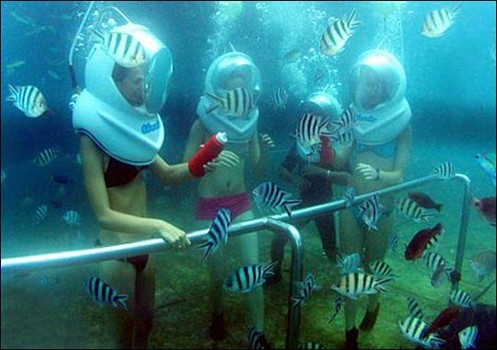 Bali Sea Walker - 