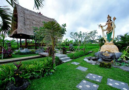 Bebek Tepi Sawah - 