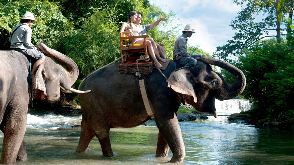 Water Rafting and Elephant Ride - 