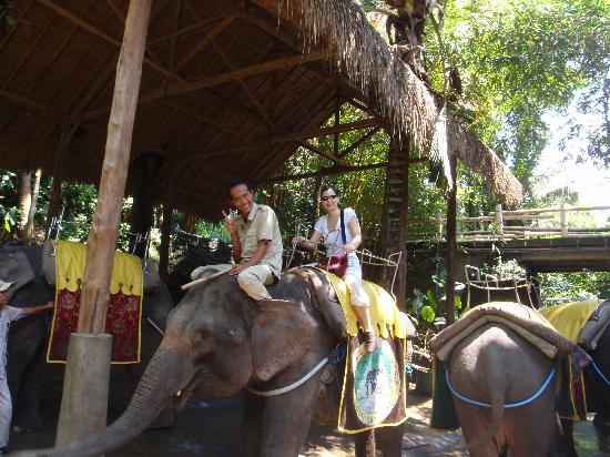 Trekking and Elephant Riding - 