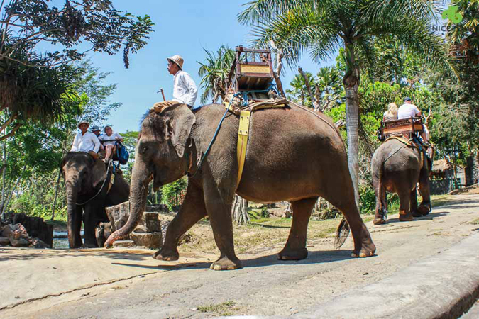 Water Rafting/ Elephant Ride and ATV Riding - 