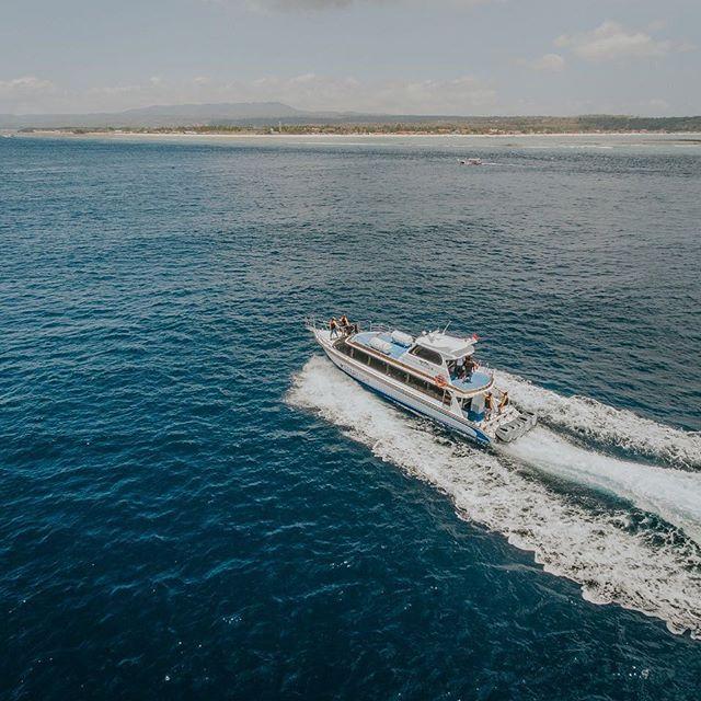Starfish Fast Cruise - 