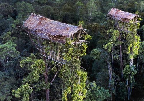 Baliem Valley Tour 14 days - 