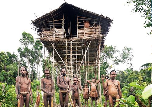 Baliem Valley and Tree House Tribe - 