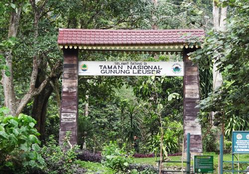 Explore Tangkahan 12 Days 11 Nights - 