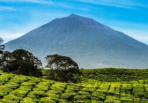 Fantastic Kerinci Seblat Tour 14 Days - 