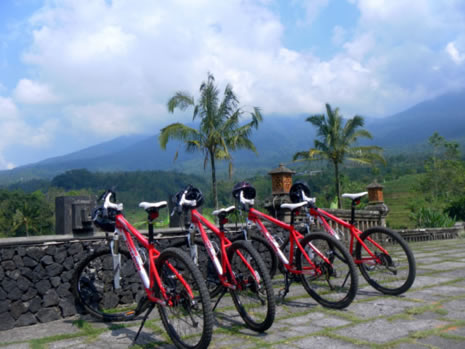 Cycling Tour by BiO - 
