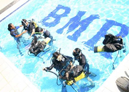 Diving Activities by BMR - 