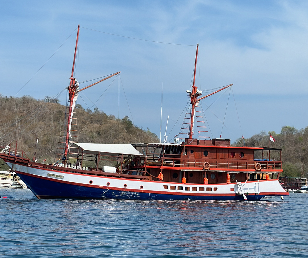 Private trip by Radea 2 Luxury Phinisi - 