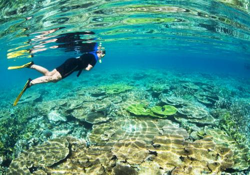 Raja Ampat Snorkeling 4 Days - 