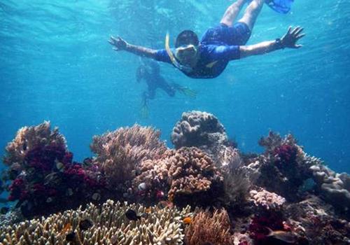 Raja Ampat Snorkeling 7 Days - 