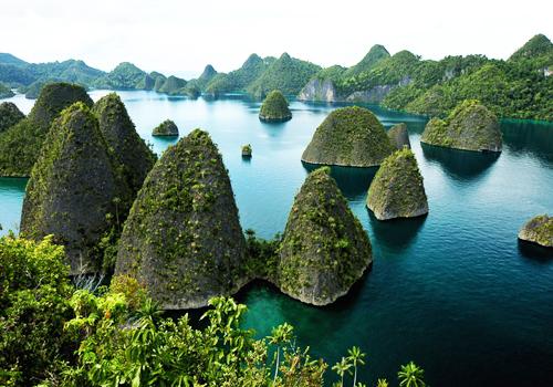 Papua Tour 9 Days 8 Nights - 