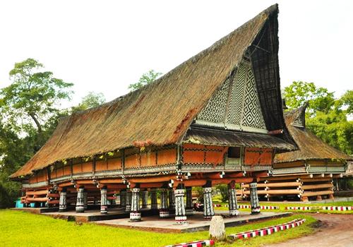 Explore Tangkahan Tour A 7 Days - 