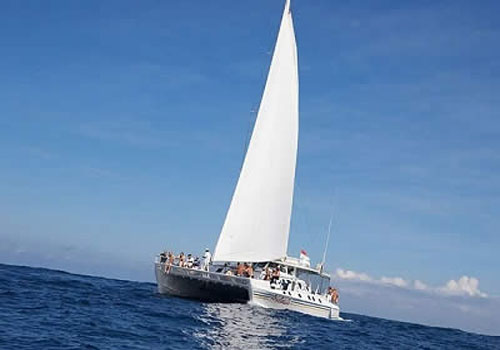 Sail Sensation Day Cruise - 