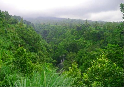 Sambangan Village Trekking - 