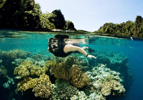 Explore Raja Ampat 5 Days - 