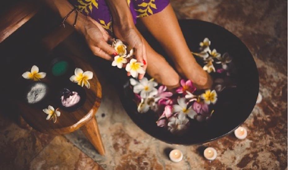 Elephant Riding & Spa Treatment - 
