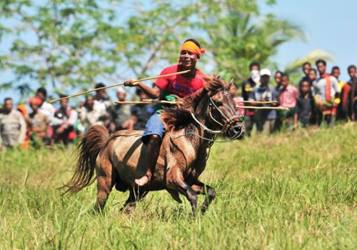 Sumba Pasola 4 Days 3 Nights - 