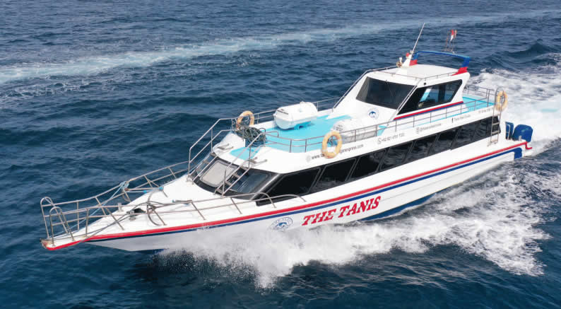 The Tanis Fast Cruise - 