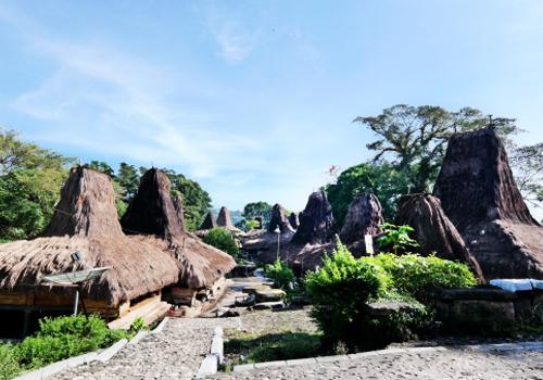 Sumba Weaving Tour 4 Days - 